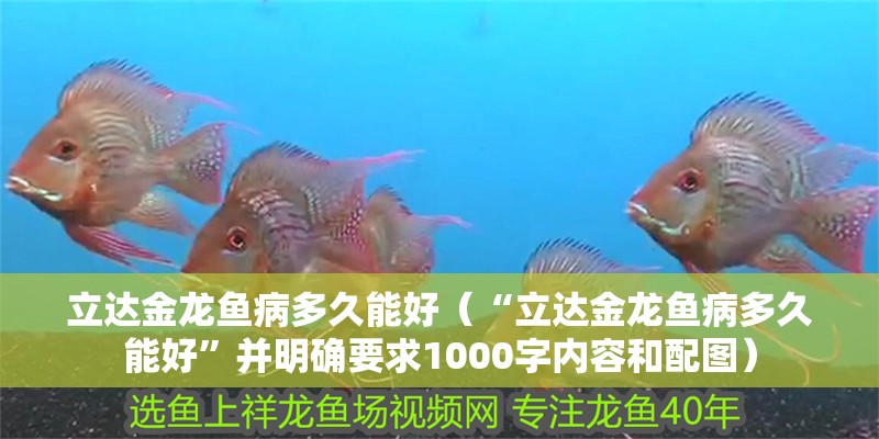 立達金龍魚病多久能好（“立達金龍魚病多久能好”并明確要求1000字內容和配圖）