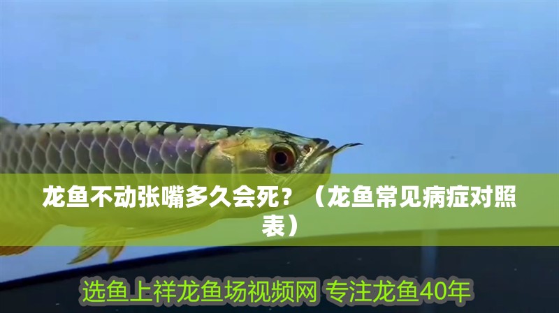 龍魚不動張嘴多久會死？（龍魚常見病癥對照表）