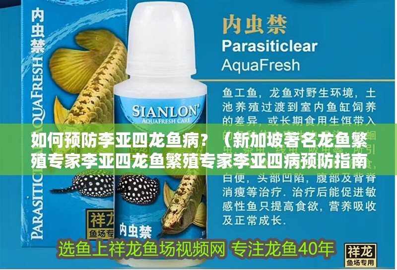 如何預防李亞四龍魚病？（新加坡著名龍魚繁殖專家李亞四龍魚繁殖專家李亞四病預防指南）