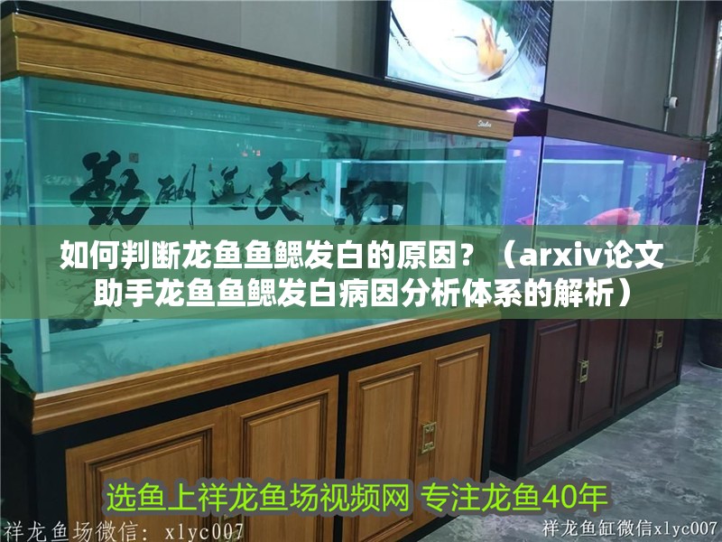 如何判斷龍魚魚鰓發白的原因？（arxiv論文助手龍魚魚鰓發白病因分析體系的解析）