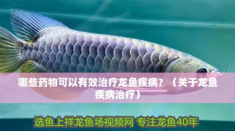 哪些藥物可以有效治療龍魚疾病？（關于龍魚疾病治療）