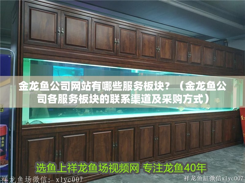 金龍魚公司網站有哪些服務板塊？（金龍魚公司各服務板塊的聯系渠道及采購方式）
