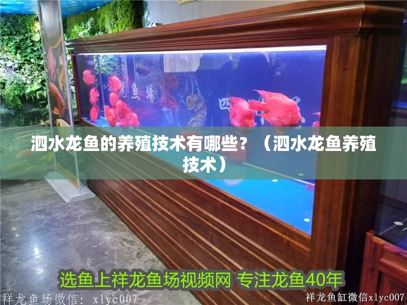 泗水龍魚的養殖技術有哪些？（泗水龍魚養殖技術）