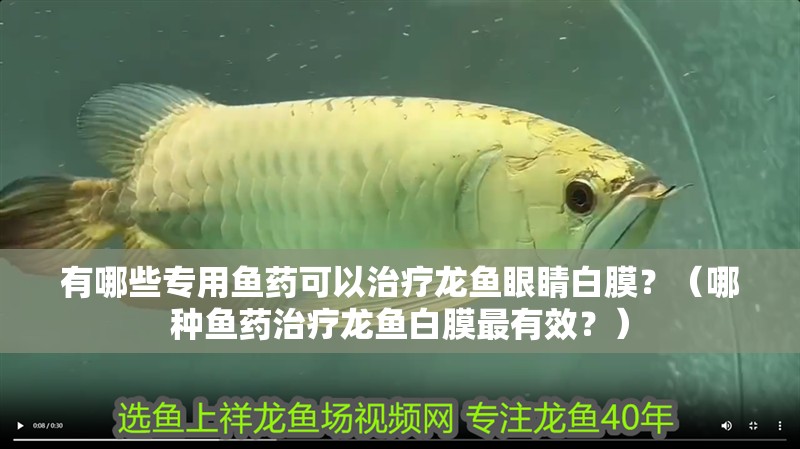 有哪些專用魚藥可以治療龍魚眼睛白膜？（哪種魚藥治療龍魚白膜最有效？）