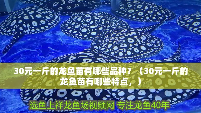 30元一斤的龍魚苗有哪些品種？（30元一斤的龍魚苗有哪些特點，）