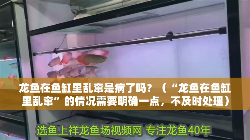 龍魚在魚缸里亂竄是病了嗎？（“龍魚在魚缸里亂竄”的情況需要明確一點，不及時處理）