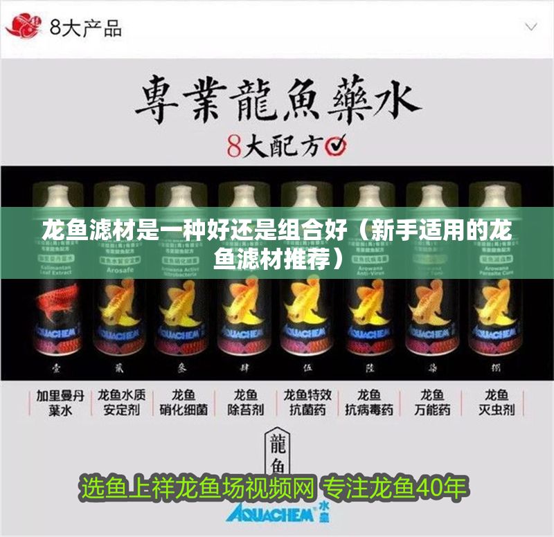 龍魚濾材是一種好還是組合好（新手適用的龍魚濾材推薦）