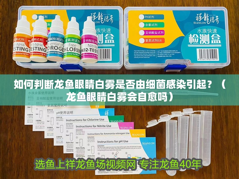 如何判斷龍魚眼睛白霧是否由細(xì)菌感染引起？（龍魚眼睛白霧會(huì)自愈嗎）