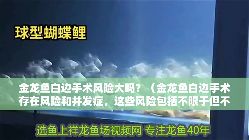 金龍魚白邊手術風險大嗎？（金龍魚白邊手術存在風險和并發癥，這些風險包括不限于但不限于）