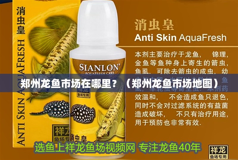 鄭州龍魚市場在哪里？（鄭州龍魚市場地圖）