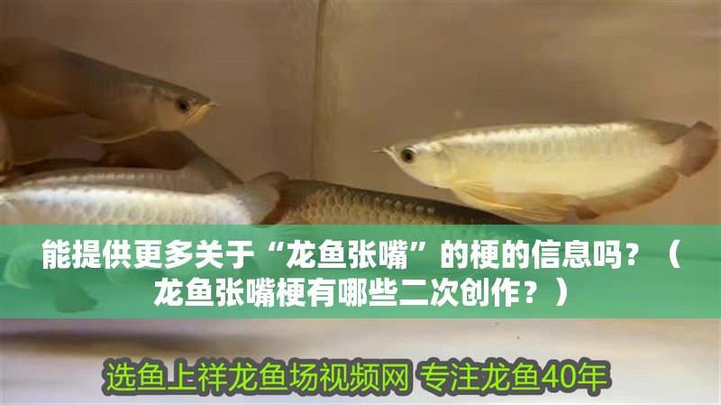 能提供更多關于“龍魚張嘴”的梗的信息嗎？（龍魚張嘴梗有哪些二次創作？）