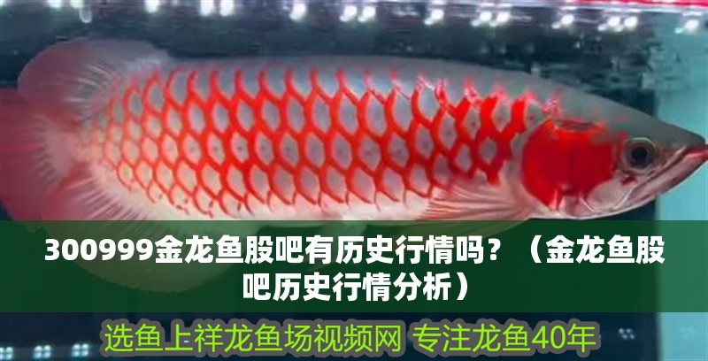 300999金龍魚股吧有歷史行情嗎？（金龍魚股吧歷史行情分析）
