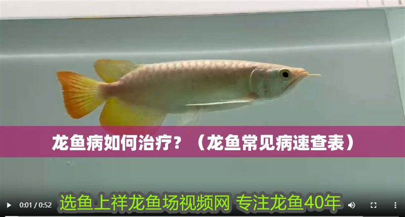 龍魚病如何治療？（龍魚常見病速查表）