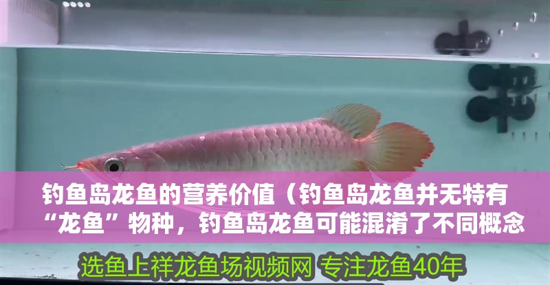 釣魚(yú)島龍魚(yú)的營(yíng)養(yǎng)價(jià)值（釣魚(yú)島龍魚(yú)并無(wú)特有“龍魚(yú)”物種，釣魚(yú)島龍魚(yú)可能混淆了不同概念）