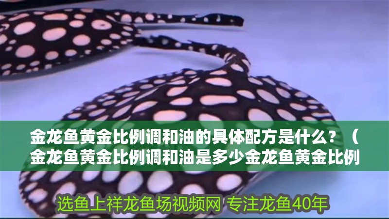 金龍魚黃金比例調和油的具體配方是什么？（金龍魚黃金比例調和油是多少金龍魚黃金比例調和油的“1:1”）