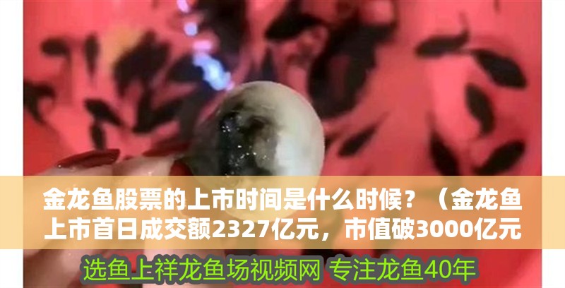 金龍魚股票的上市時間是什么時候？（金龍魚上市首日成交額2327億元，市值破3000億元）
