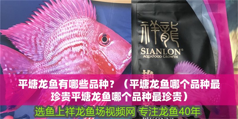 平塘龍魚有哪些品種？（平塘龍魚哪個品種最珍貴平塘龍魚哪個品種最珍貴）