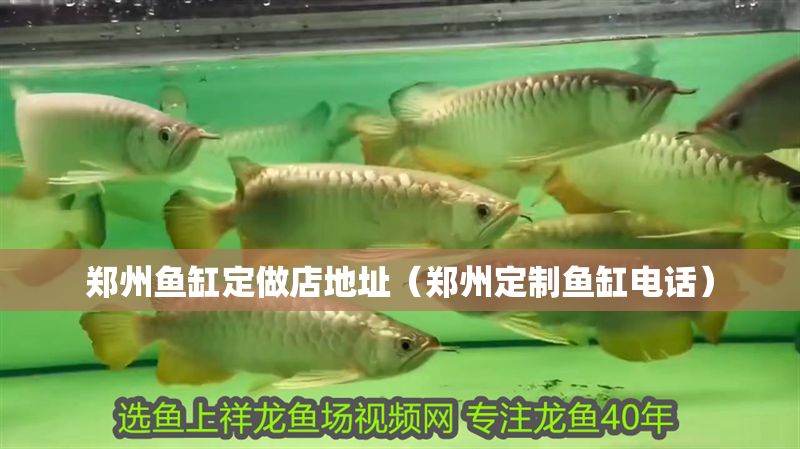 鄭州魚缸定做店地址（鄭州定制魚缸電話）