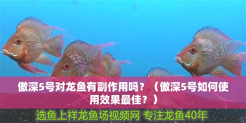 傲深5號(hào)對(duì)龍魚有副作用嗎？（傲深5號(hào)如何使用效果最佳？）