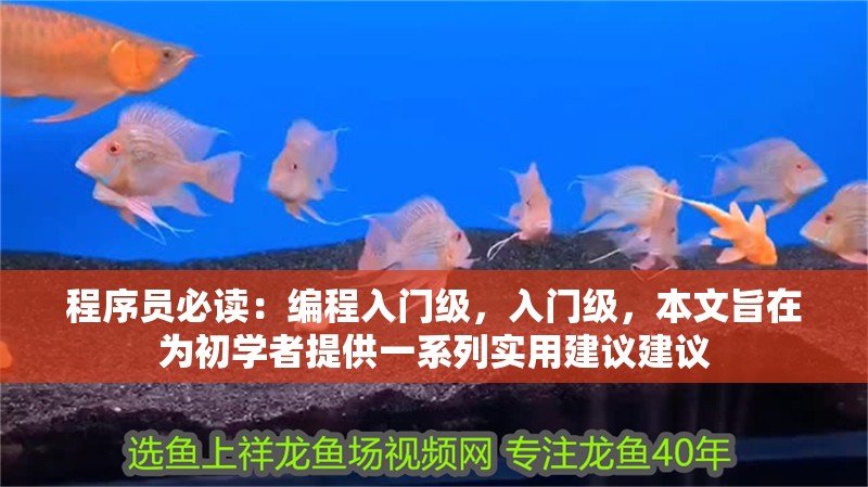 程序員必讀：編程入門級，入門級，本文旨在為初學(xué)者提供一系列實(shí)用建議建議