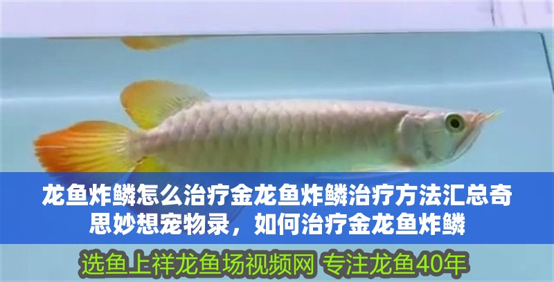 龍魚炸鱗怎么治療金龍魚炸鱗治療方法匯總奇思妙想寵物錄，如何治療金龍魚炸鱗