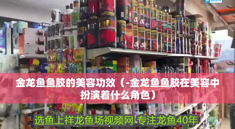 金龍魚魚膠的美容功效（-金龍魚魚膠在美容中扮演著什么角色）