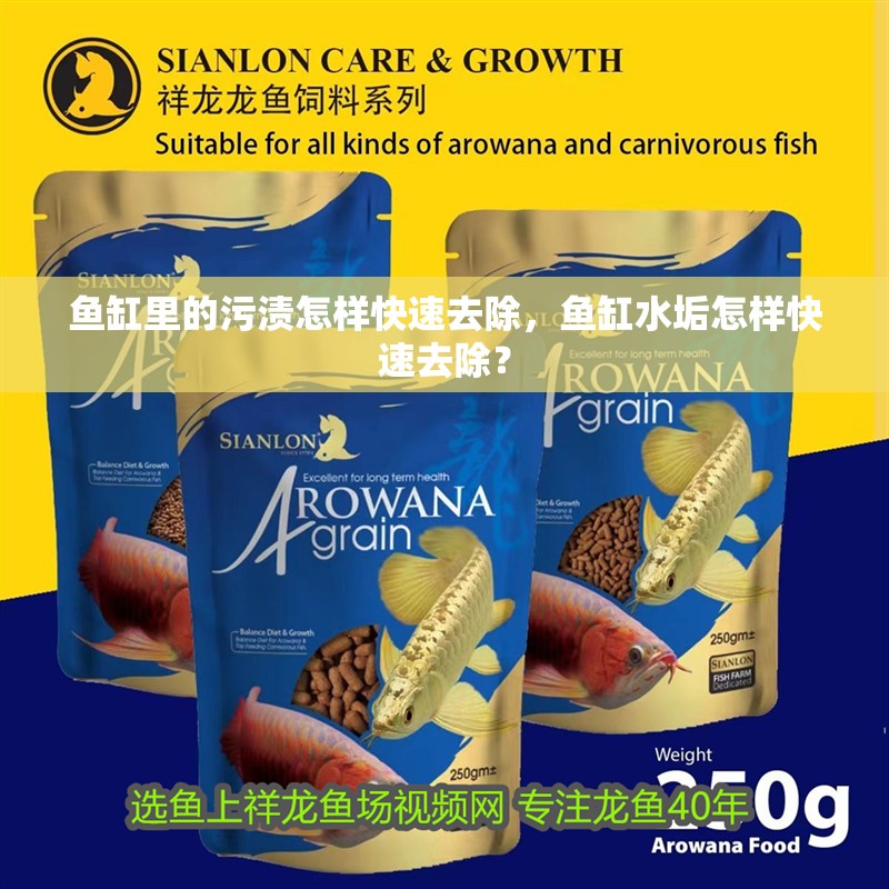 魚缸里的污漬怎樣快速去除，魚缸水垢怎樣快速去除？