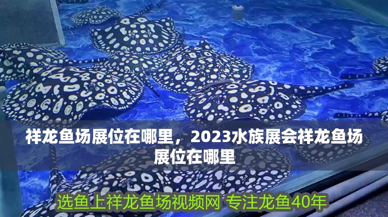 祥龍魚場(chǎng)展位在哪里，2023水族展會(huì)祥龍魚場(chǎng)展位在哪里