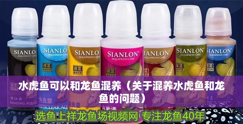 水虎魚可以和龍魚混養(yǎng)（關于混養(yǎng)水虎魚和龍魚的問題）