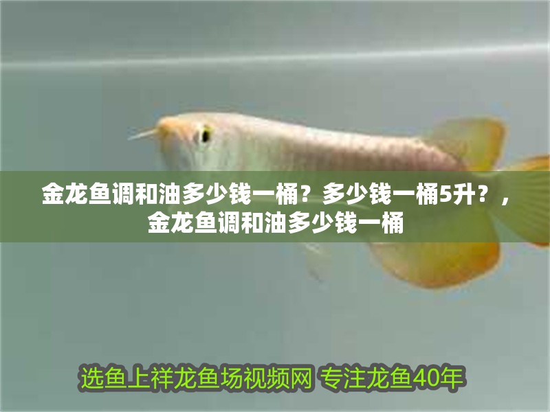 金龍魚調和油多少錢一桶？多少錢一桶5升？，金龍魚調和油多少錢一桶