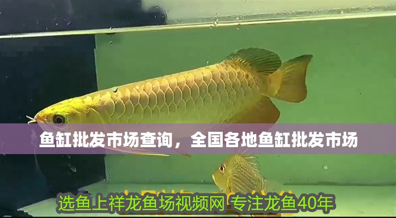 魚缸批發市場查詢，全國各地魚缸批發市場