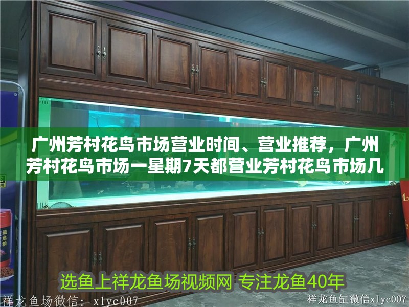 廣州芳村花鳥市場營業(yè)時間、營業(yè)推薦，廣州芳村花鳥市場一星期7天都營業(yè)芳村花鳥市場幾點(diǎn)開門營業(yè)