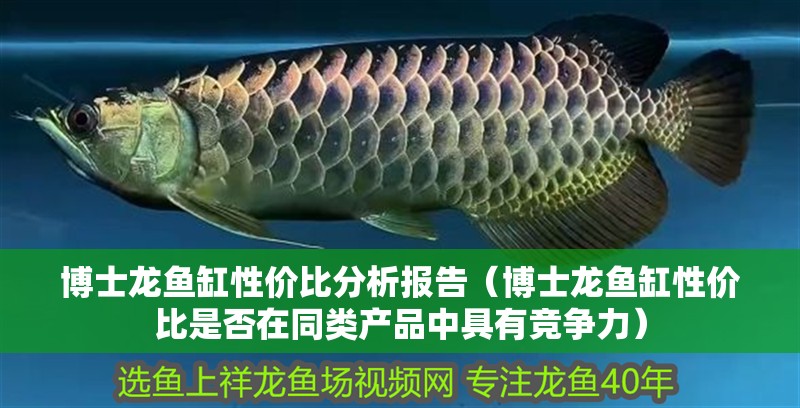 博士龍魚缸性價比分析報告（博士龍魚缸性價比是否在同類產品中具有競爭力）