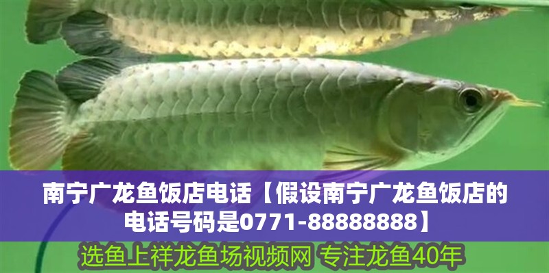 南寧廣龍魚飯店電話【假設南寧廣龍魚飯店的電話號碼是0771-88888888】