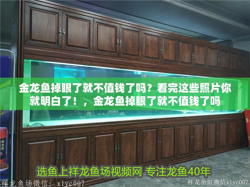 金龍魚掉眼了就不值錢了嗎？看完這些照片你就明白了！，金龍魚掉眼了就不值錢了嗎
