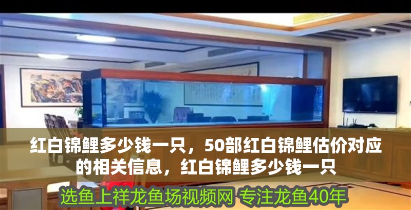 紅白錦鯉多少錢一只，50部紅白錦鯉估價對應(yīng)的相關(guān)信息，紅白錦鯉多少錢一只