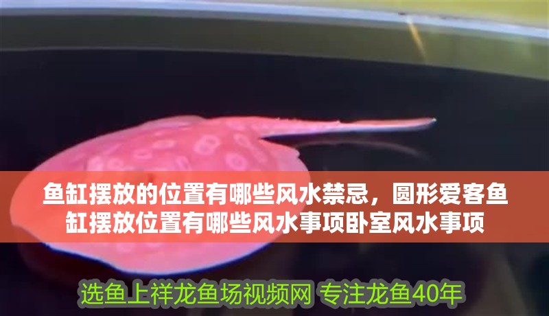 魚缸擺放的位置有哪些風水禁忌，圓形愛客魚缸擺放位置有哪些風水事項臥室風水事項