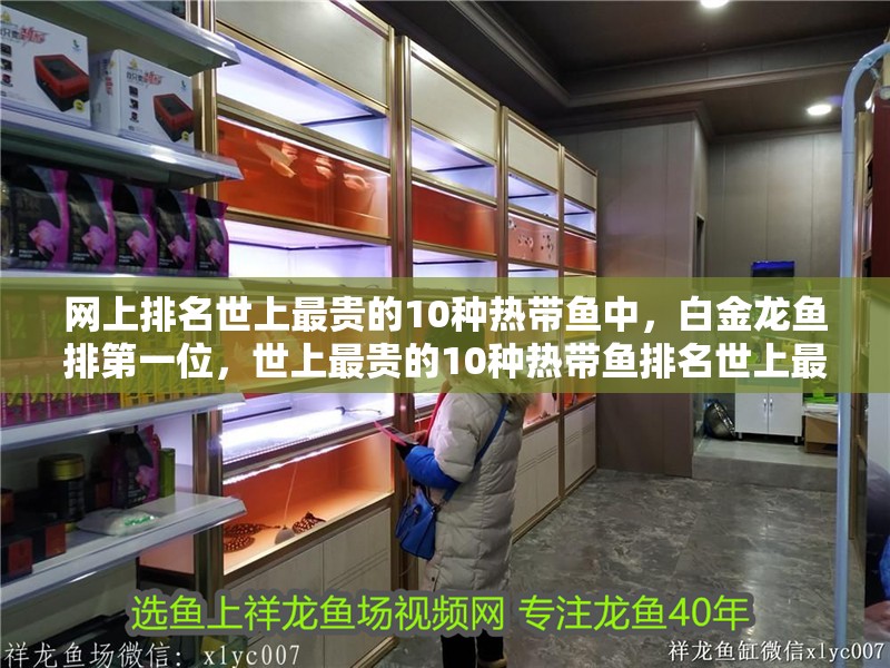 網上排名世上最貴的10種熱帶魚中，白金龍魚排第一位，世上最貴的10種熱帶魚排名世上最貴的10種熱帶魚中，白金龍魚第一