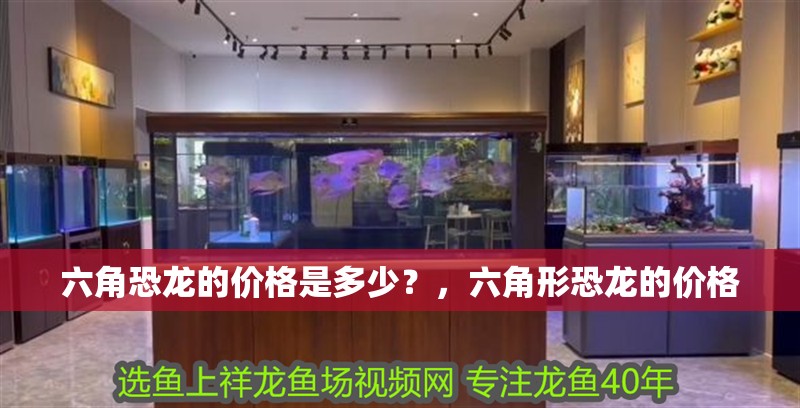 六角恐龍的價格是多少？，六角形恐龍的價格