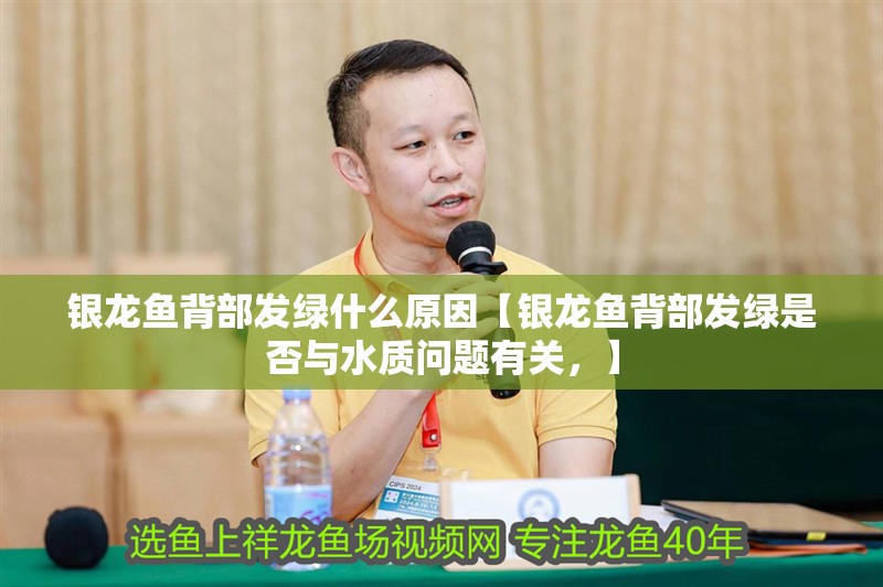 銀龍魚(yú)背部發(fā)綠什么原因【銀龍魚(yú)背部發(fā)綠是否與水質(zhì)問(wèn)題有關(guān)，】