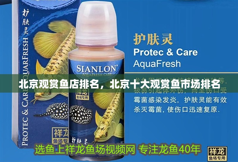 北京觀賞魚店排名，北京十大觀賞魚市場排名