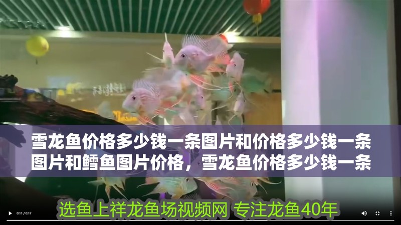 雪龍魚價格多少錢一條圖片和價格多少錢一條圖片和鱈魚圖片價格，雪龍魚價格多少錢一條