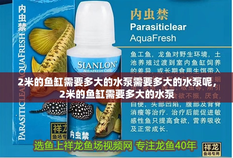 2米的魚缸需要多大的水泵需要多大的水泵呢，2米的魚缸需要多大的水泵