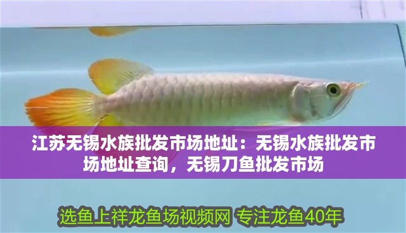 江蘇無錫水族批發市場地址：無錫水族批發市場地址查詢，無錫刀魚批發市場
