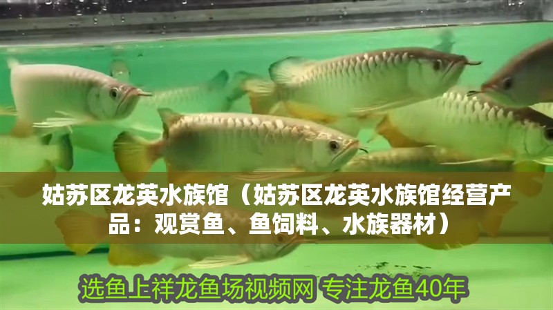 姑蘇區龍英水族館（姑蘇區龍英水族館經營產品：觀賞魚、魚飼料、<strong><mark>水族器材</mark></strong>）