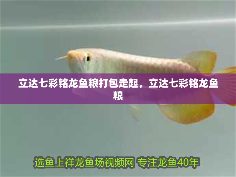 立達(dá)七彩銘龍魚糧打包走起，立達(dá)七彩銘龍魚糧