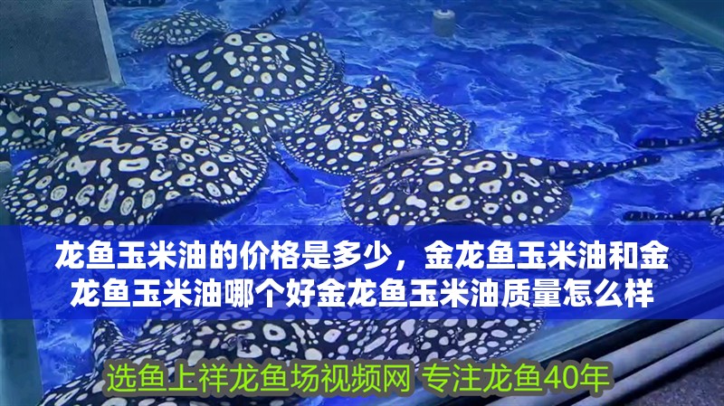 龍魚玉米油的價格是多少，金龍魚玉米油和金龍魚玉米油哪個好金龍魚玉米油質量怎么樣