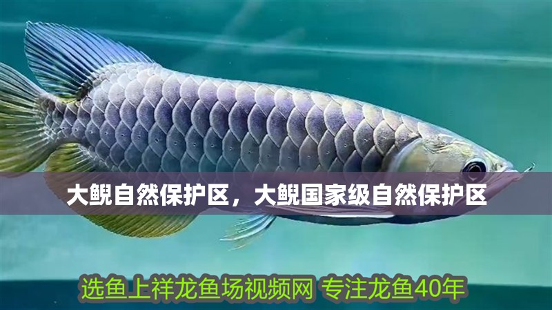 大鯢自然保護(hù)區(qū)，大鯢國(guó)家級(jí)自然保護(hù)區(qū)