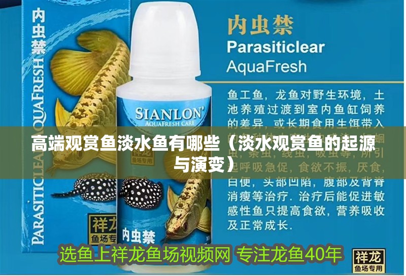 高端觀賞魚淡水魚有哪些（淡水觀賞魚的起源與演變）