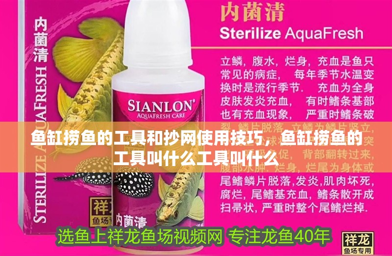 魚缸撈魚的工具和抄網(wǎng)使用技巧，魚缸撈魚的工具叫什么工具叫什么